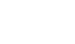 expert logo